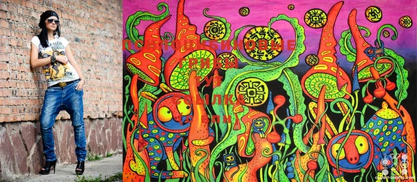 PSILOCYBIN Протвино
