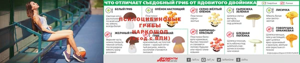 PSILOCYBIN Протвино