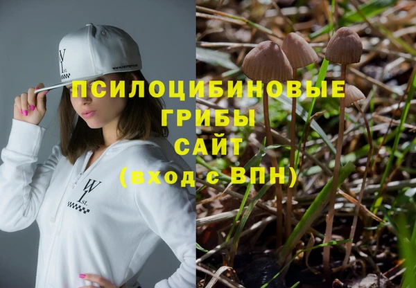 крисы Алексеевка