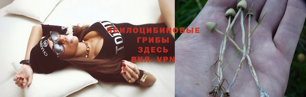 MESCALINE Алзамай