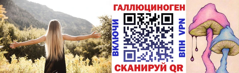 сайты даркнета наркотические препараты где можно купить наркотик Суздаль Галлюциногенные грибы мицелий
